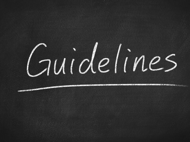 A picture of the word guidelines written on a chalkboard background.