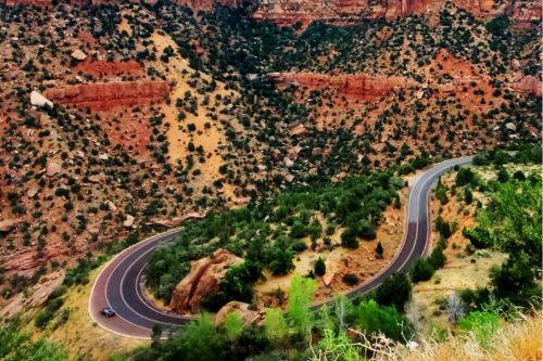 ranger led tours in zion national park