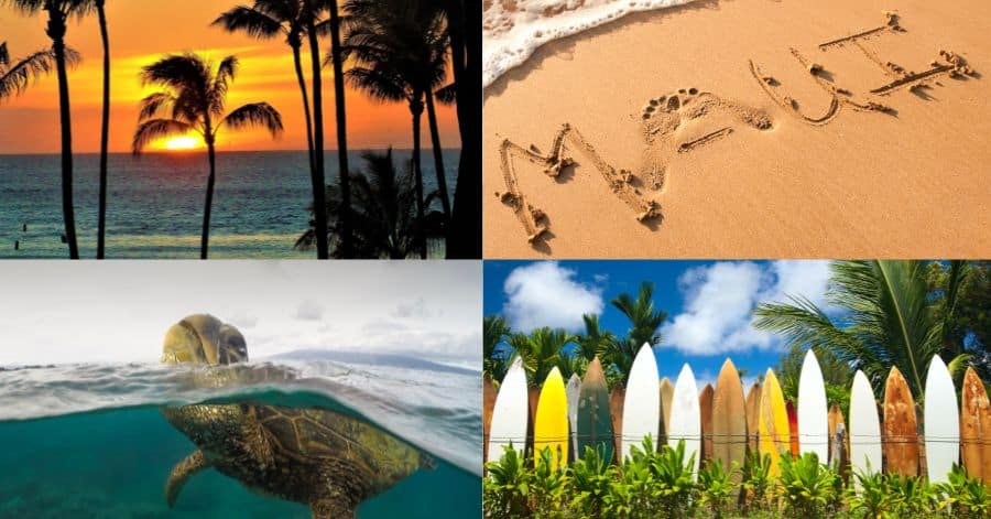 day trips from maui