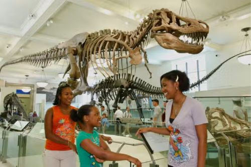 American Museum of Natural History