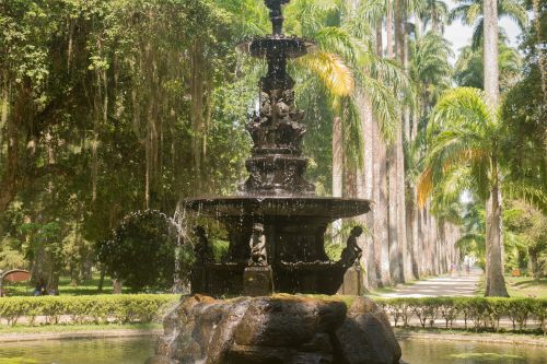 Rio de Janeiro Botanical Garden Tickets