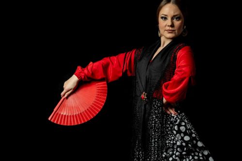 Essential Flamenco