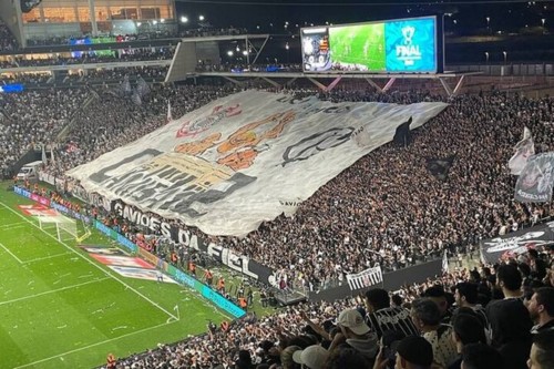 Live Football Guided Experience at the São Paulo's Stadium - Viator