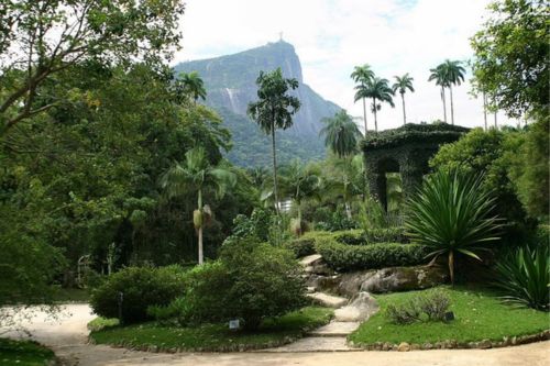 Rio de Janeiro Botanical Garden T