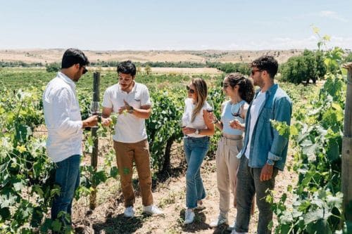 Toledo City Tour, Winery Experience & Wine Tasting from Madrid