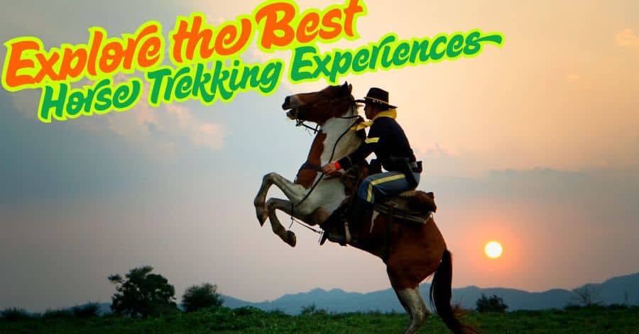 Explore the Best Horse Trekking Experiences