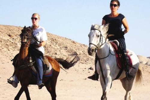 Hurghada Arabian Desert and Sea Horseback Adventure