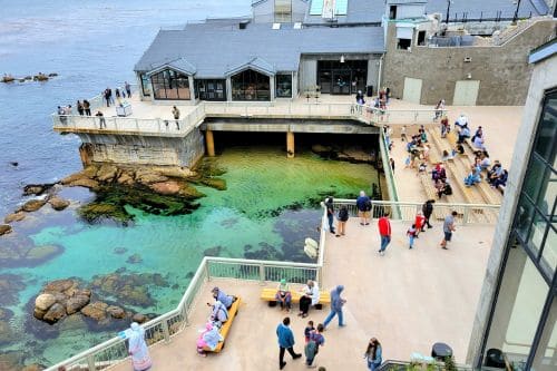 Aquarium of the Bay