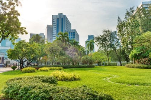 Lumpini Park