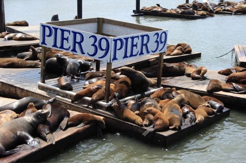 Pier 39