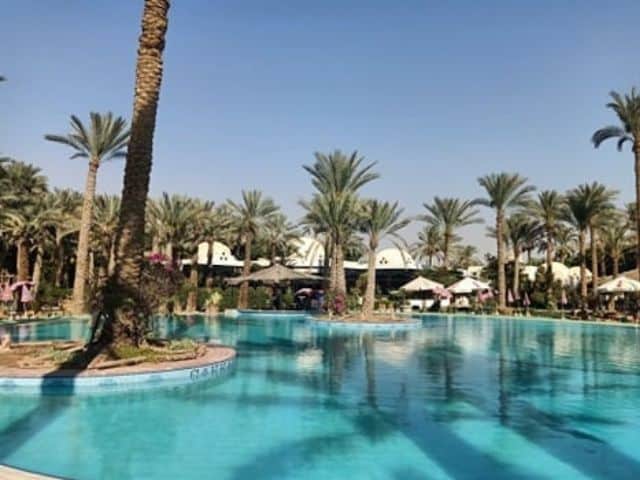 A picture inside of Sakkara Palm Club.