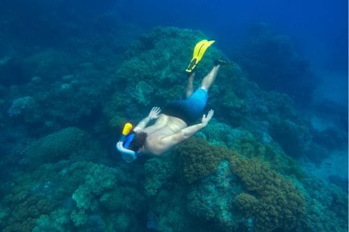 Apo Island