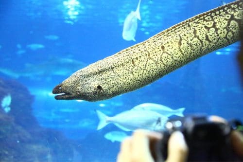 Barcelona Aquarium