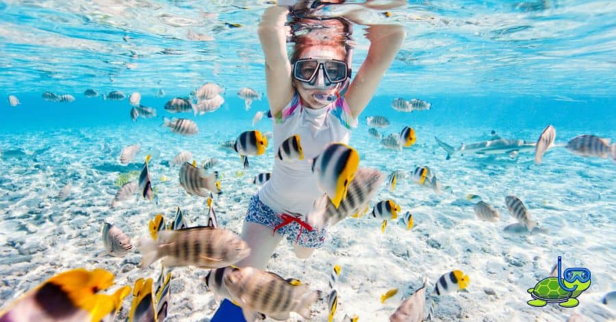 Best Budget Snorkelling Spots in Southeast Asia for Under $50