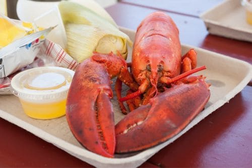 Maine Lobster Festival