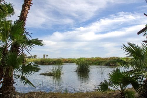San Jose Estuary