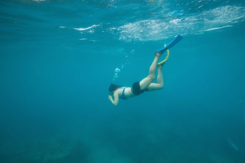 Snorkeling in Key West
