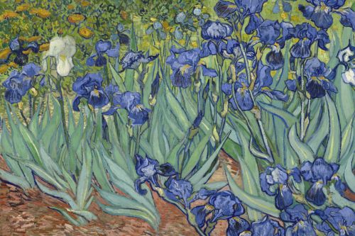 Van Gogh Museum