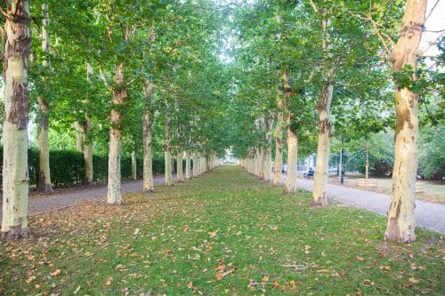 Letna Park
