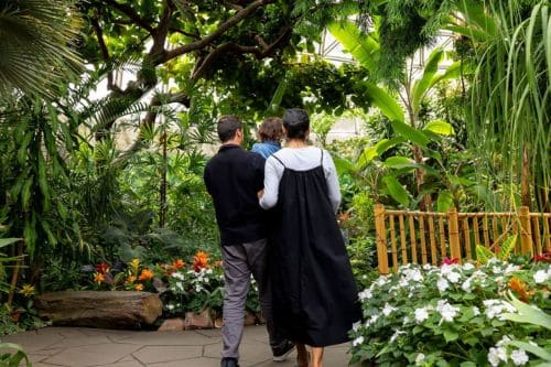 Bloedel Conservatory