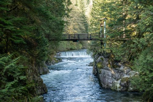 Capilano Salmon Hatchery