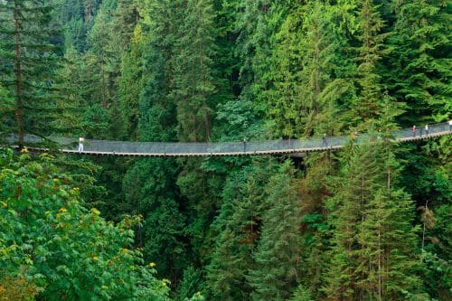 Capilano Suspension Bridge