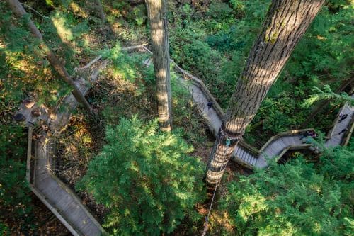 Footbridge Trails