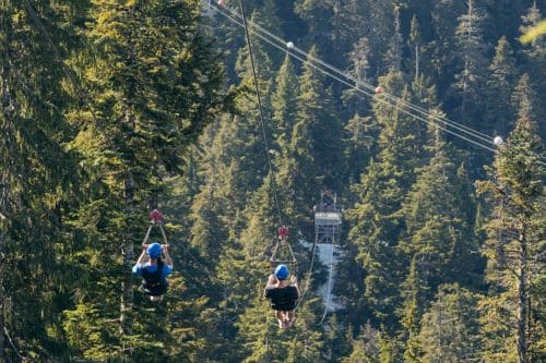 Grouse Mountain Adventure
