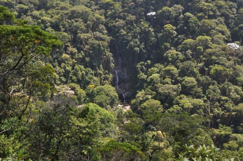 Tijuca National Park