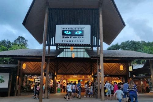 Night Safari