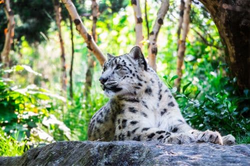 Central Park Zoo