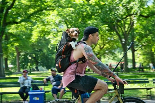 Cycling in Central Park