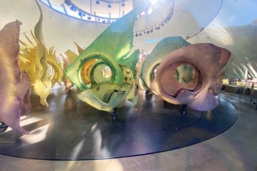 SeaGlass Carousel