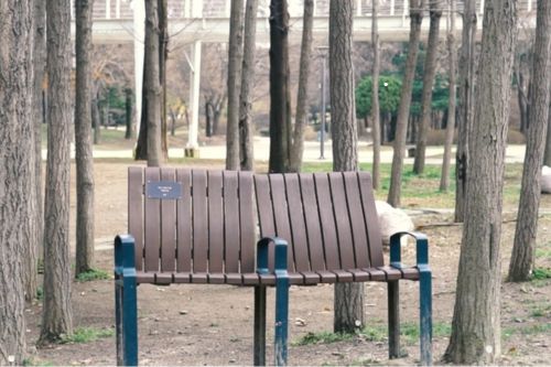 RM Bench