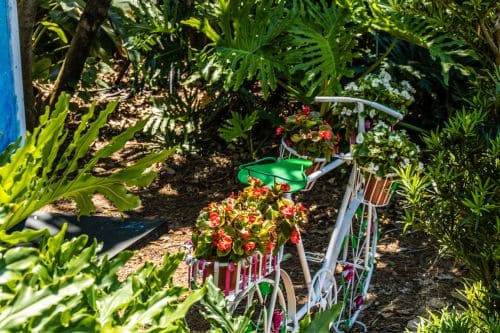 Busch Gardens Tampa Bay