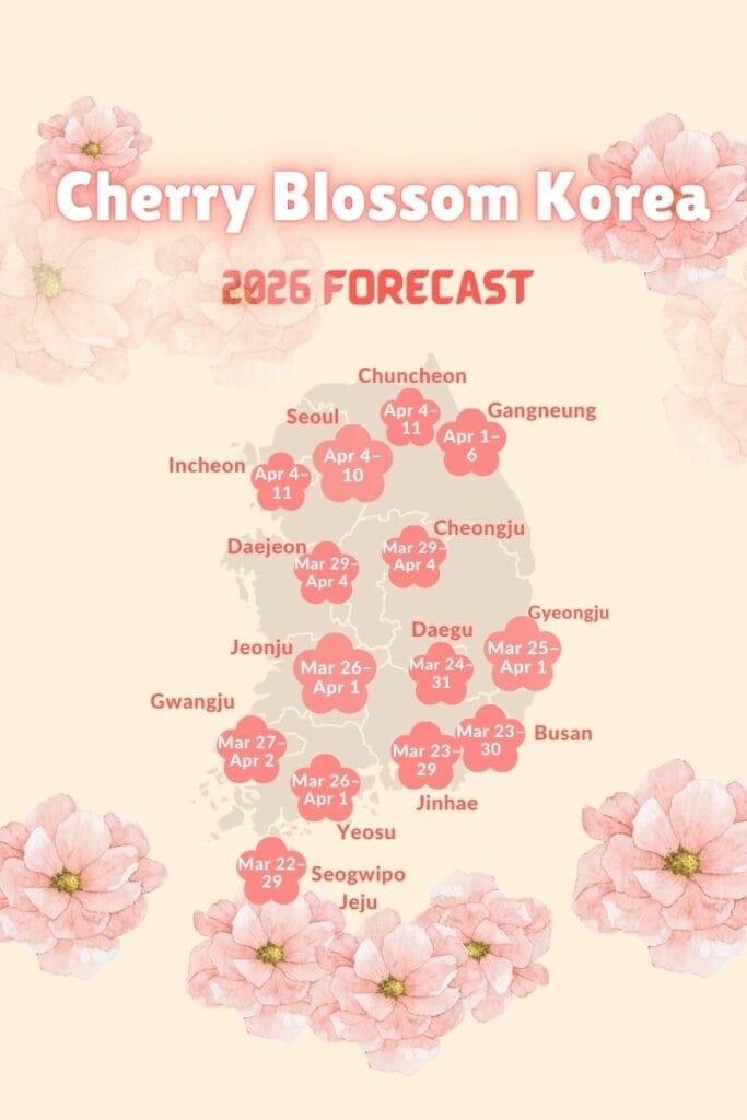 Cherry Blossom Korea 2026 Forecast