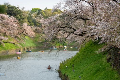 Chidorigafuchi Park