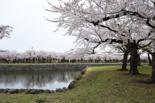 Goryokaku Park