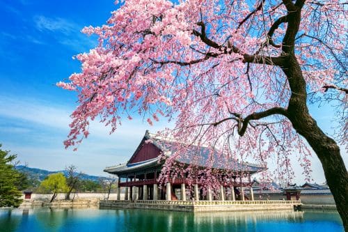 Gyeongbokgung Palace