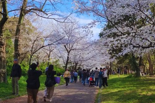 Maruyama Park