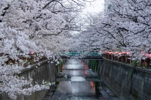 Meguro River