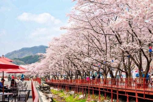 Nami Island