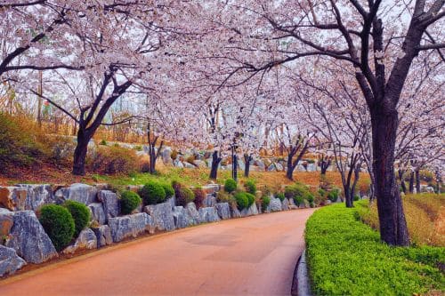 Seokchon Lake