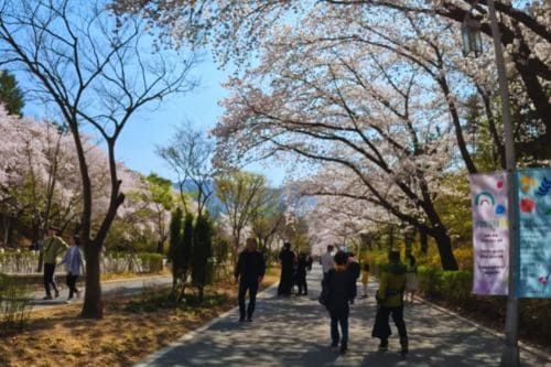 Seoul Grand Park