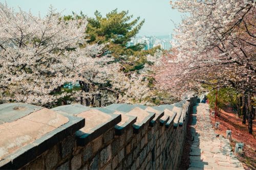 Suwon Hwaseong Fortress