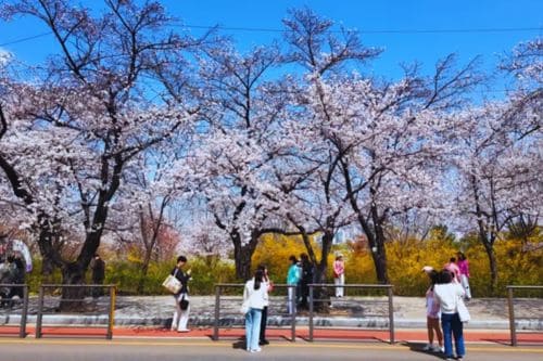 Yeouido Park
